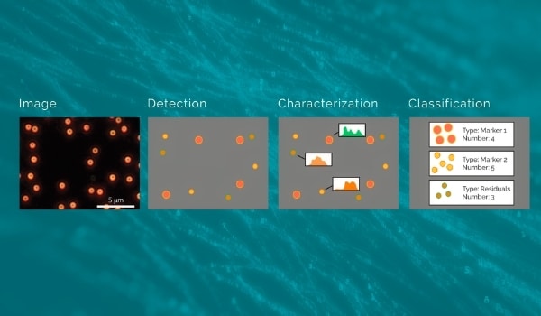 Nanoparticle classification