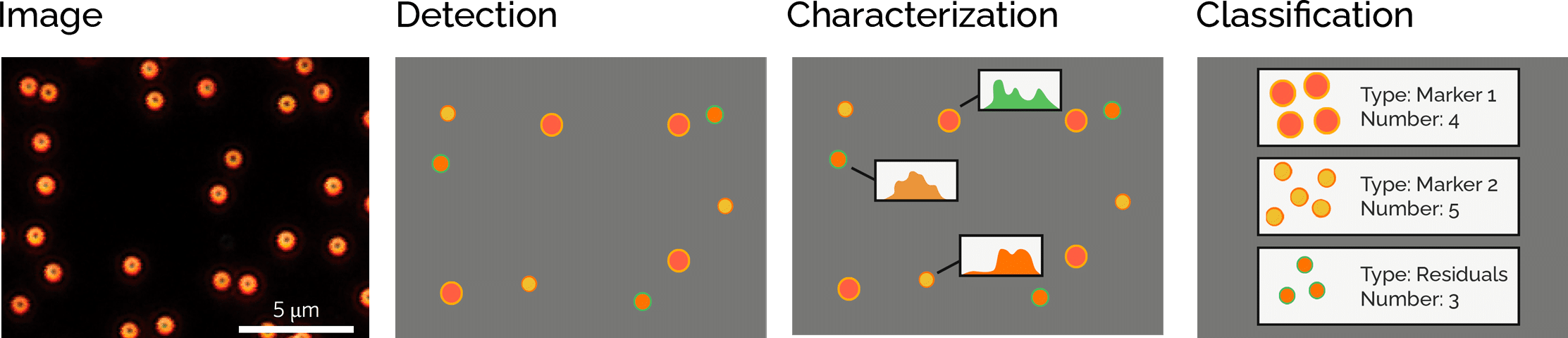 Process phases