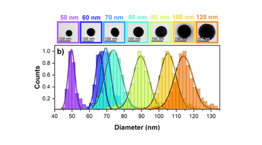 Nanoparticle Characterization Services